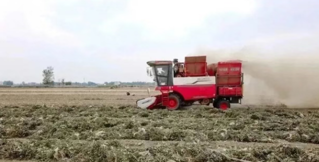 从“小白”到“熟手”，中联收获花生机陪新手孙师傅闯过首季作业