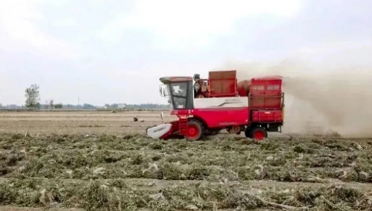 河南安阳李师傅：花生机收服务路上，只信赖中联收获花生机​